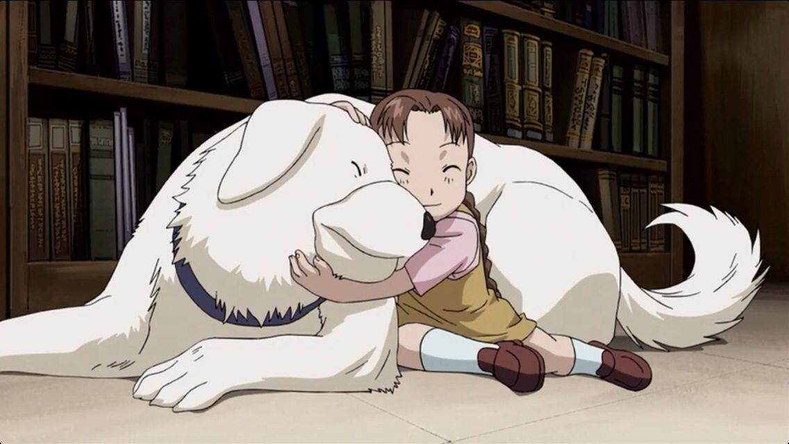 Cena de Fullmetal Alchemist em que Nina Tucker abraça o cachorro Alexander em um cômodo com estantes de livros ao fundo.