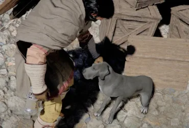 Personagem Kilff acariciando cachorro no jogo Crimson Desert